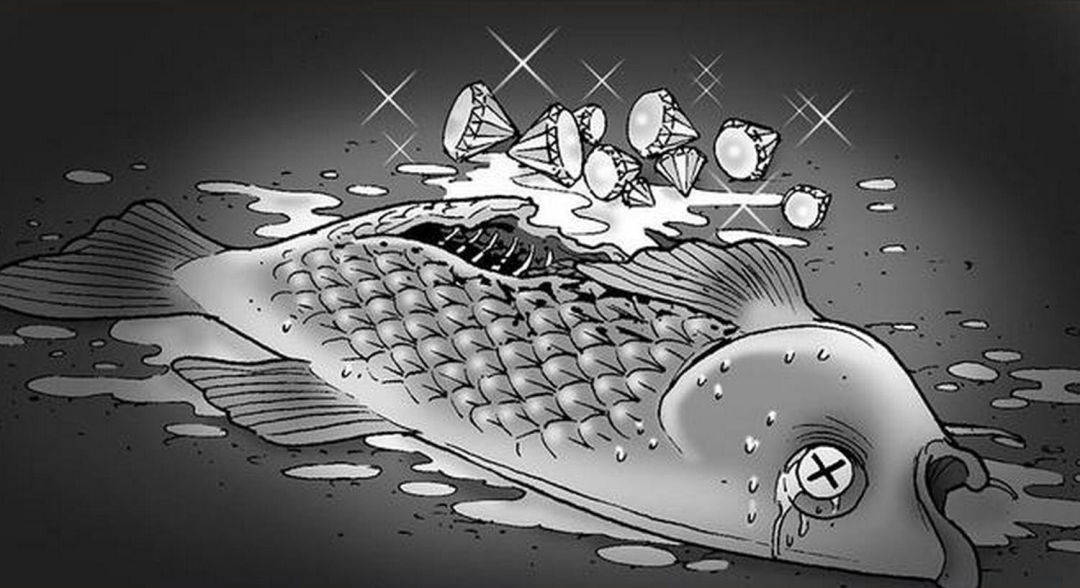失死不什么成语_一什么不什么的成语(3)