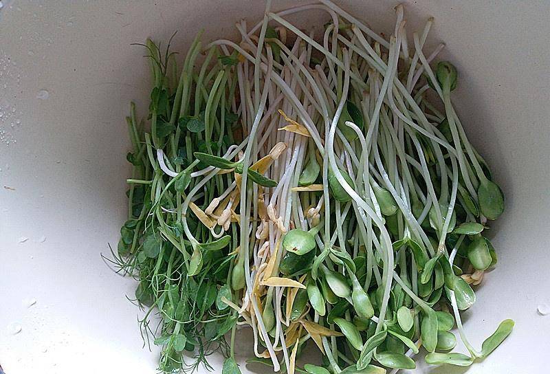 第一步,把油葵苗和绿豆芽的根部剪去,然后清洗干净,不脏,随便清洗一下