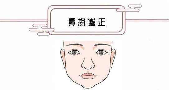 异什么鼻成语_纯白异瞳猫是什么品种(3)