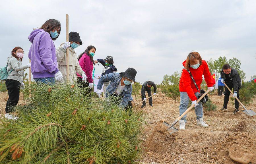 共植民族團結林獻禮建黨100週年主題植樹活動舉辦