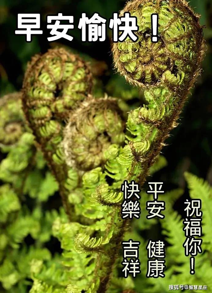 2021年4月26日星期一清晨早上好问候祝福动态表情图片