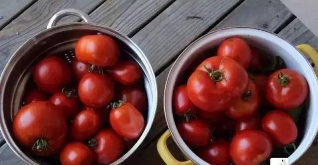 番茄洋葱怎么烧 aa9d7ee013ff43d89f4f7ba300310b2f.jpeg