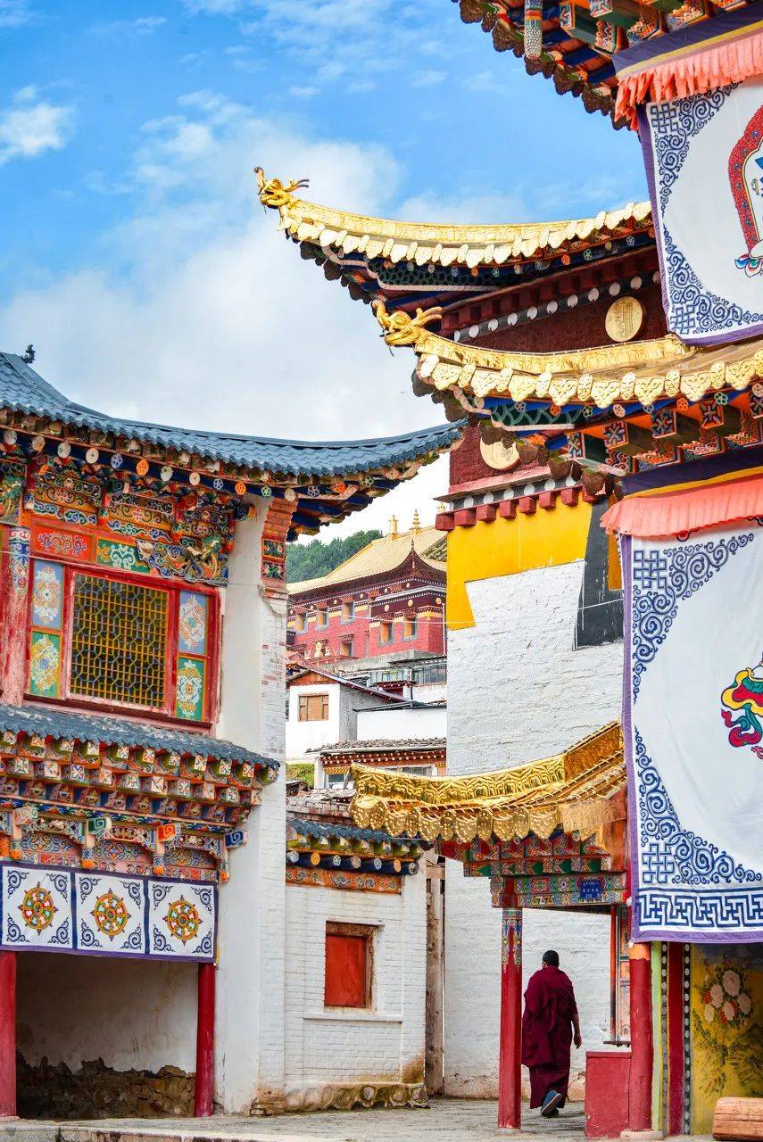 夏天将至,甘南也将迎来最美的时刻,你们有没有心动呢?