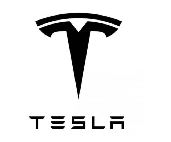 上海车展特斯拉再"出事","鲁智深"大汉制服维权者_搜狐汽车_搜狐网