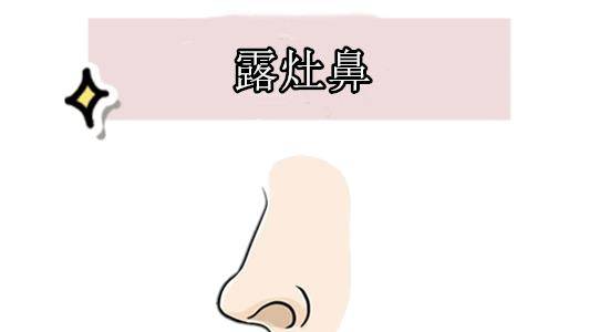 鼻孔朝天的面相密码：从相术玄机到现代科学的全方位解读（俩鼻孔向上是什么命）
