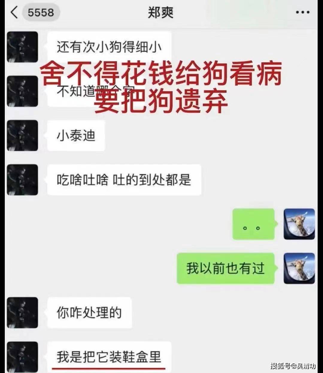 张恒爆料郑爽遗弃小狗是真的 胡彦斌在歌词中疑似证实了 男朋友