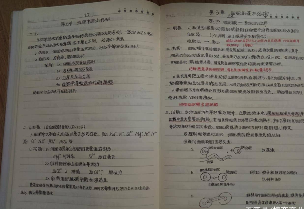 十年前后人口学比较不一样_家乡前后十年对比图片(3)