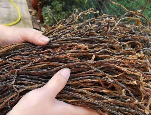 怎么晒干豆角干 f67d6b657cee44838f9281f403a1ef34.jpeg