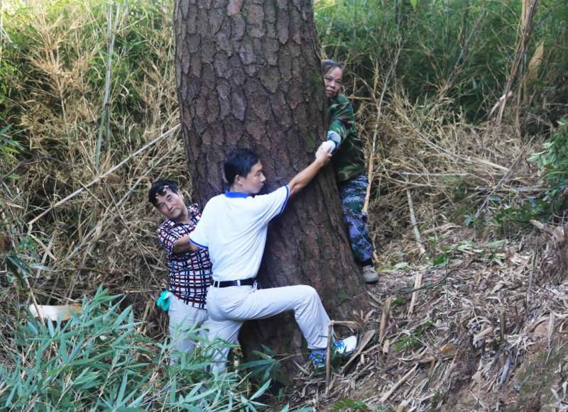 郭德纲说一人不进庙二人不看井三人不抱树这蕴含什么心酸道理