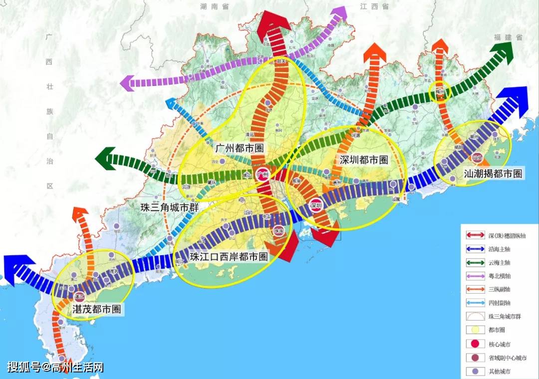 高州2020经济总量_高州荔枝图片(3)