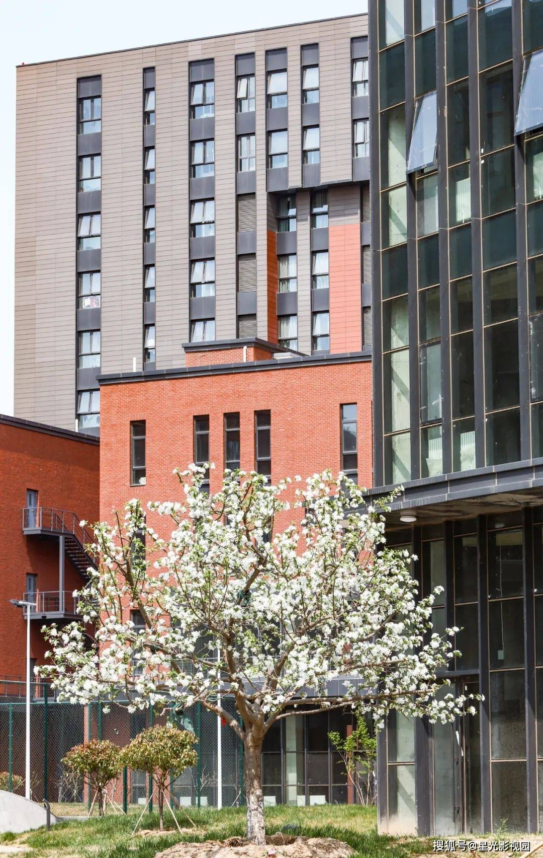 星光视界公园全新亮相优质视听企业最高免租一年