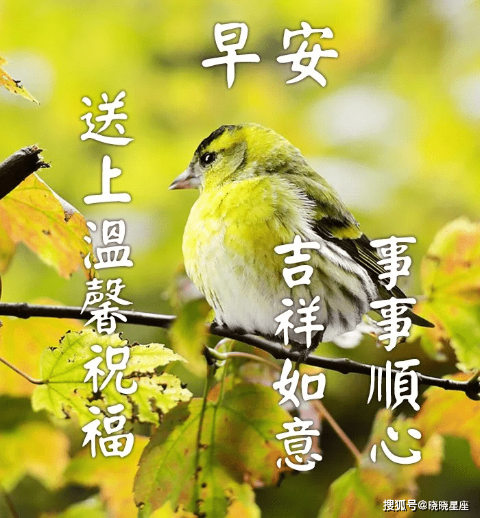 轻风拂过你的脸颊 067f70b8dcea4e7581714aaebcbc0f80.png