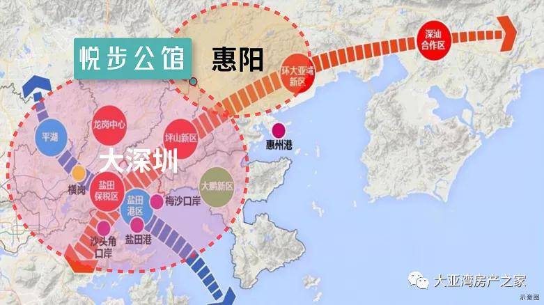 香港有多少人口2021年_香港2021年生肖表(3)