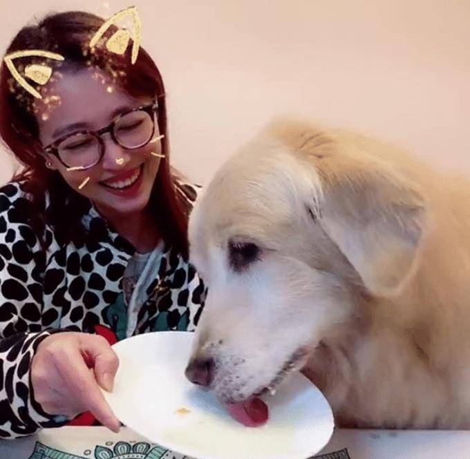 狗多少岁就不能生孩子了 21e22d66282a4b44b1a0c033f55d1fe7.jpeg