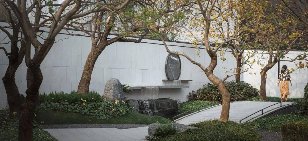 石菖蒲目前市场价格多少钱一斤