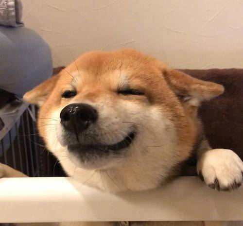 689a439fa58e45e1af5b6f03a8e2ae0c.jpeg