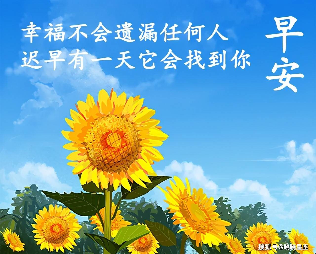 6db49dd352cd4d70990cb00cd1020100.jpeg