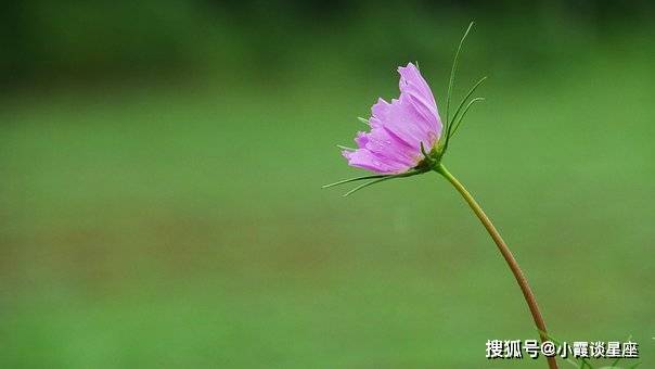9359c74a7d184186b12351ab95b715df.jpeg