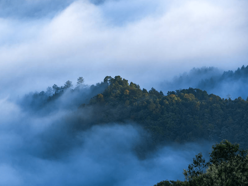江西遂川:佛祖仙岭云雾萦绕 宛如仙境