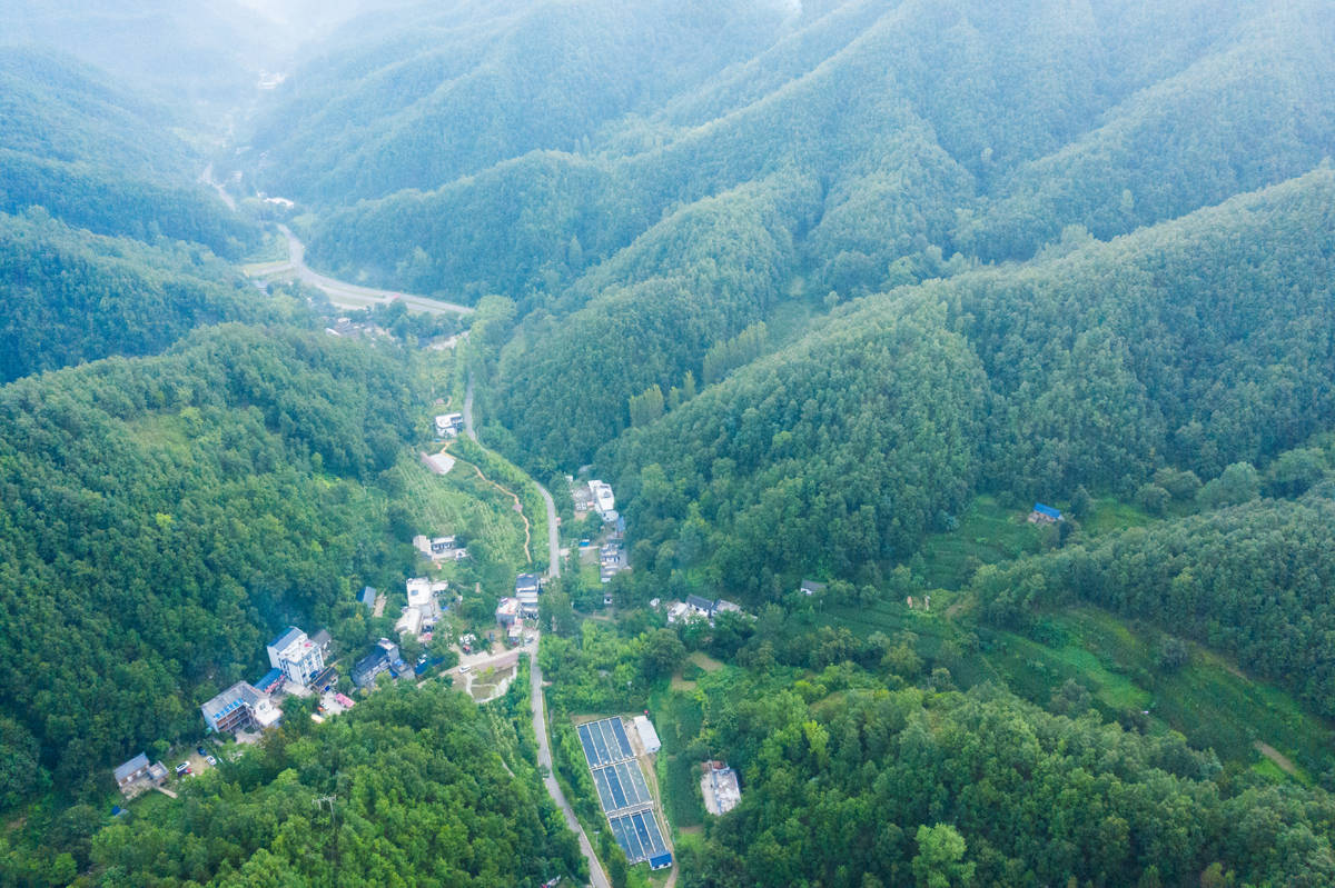 河南地方小人口多_河南人口数据图片(2)