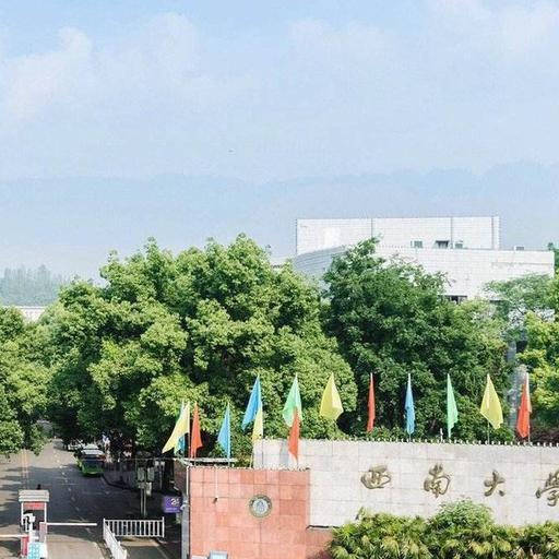重庆的大学排行榜_北大第1,浙大第8,华科第20!重庆学子最难考的理科大学排行榜!