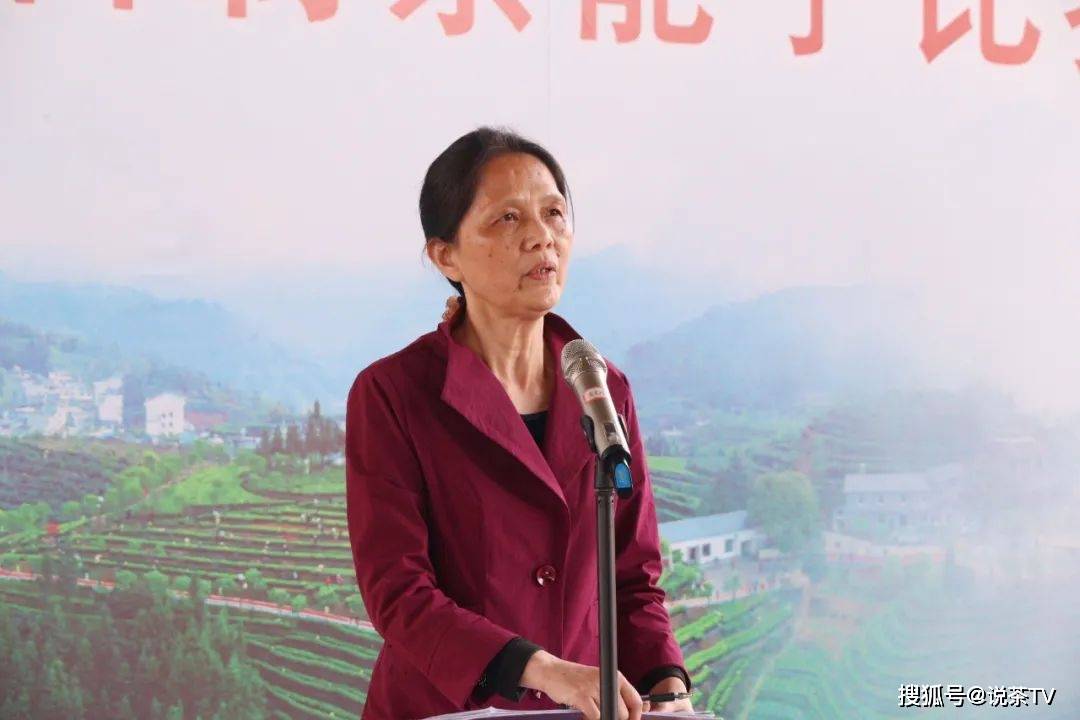 茶叶|培养工匠、赋能茶企,且看寿宁这场制茶能手赛!