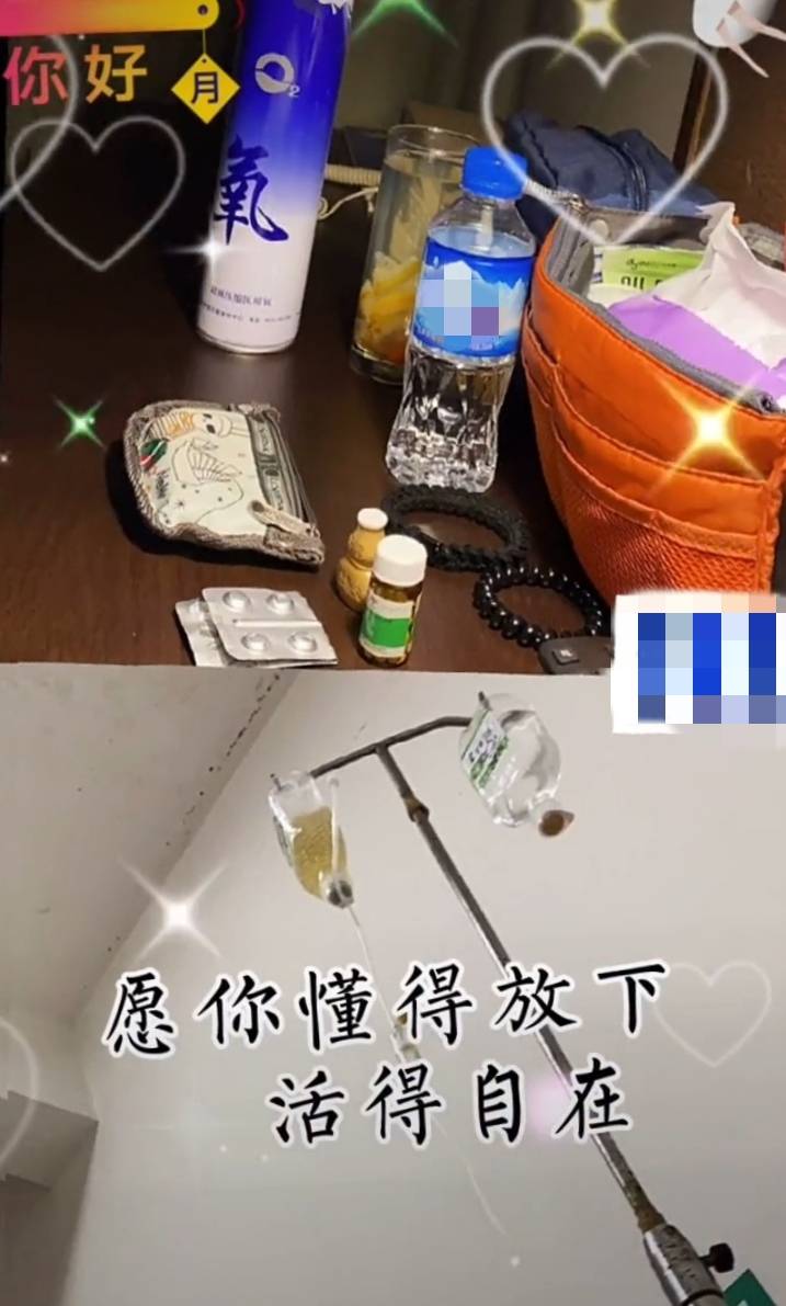 钱夫人放我出去图片