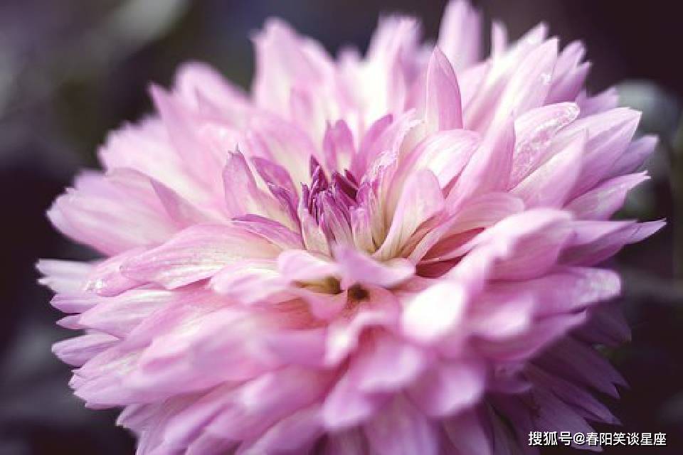 朴实无华的小句子，经典走心，让人心领神会