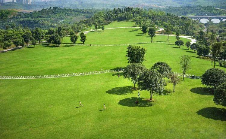 原创深藏重庆的春游地耗资46亿门票0元游客很美值得来
