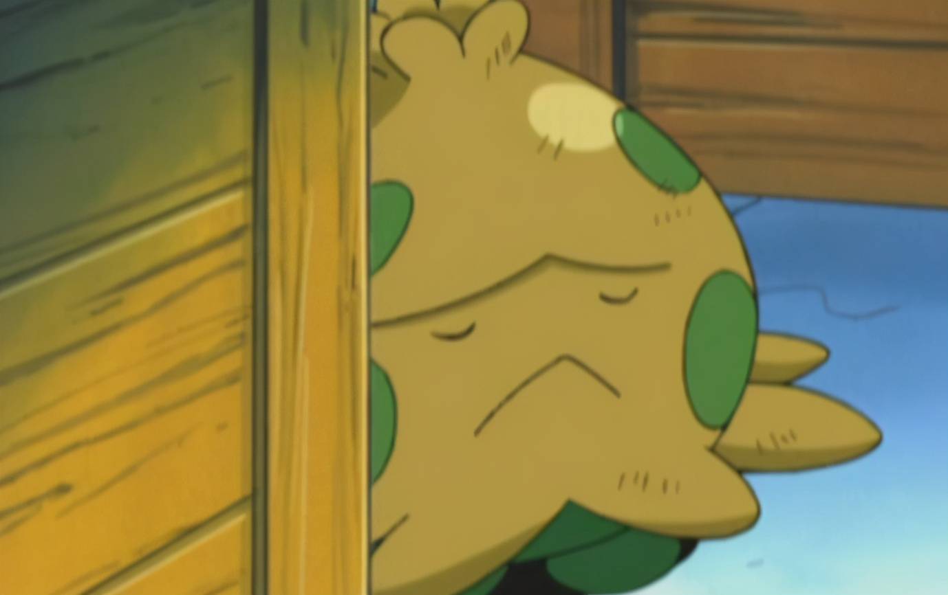 《宝可梦》出现在城市里的奇怪蘑蘑菇,小胜与精灵的首次交心!