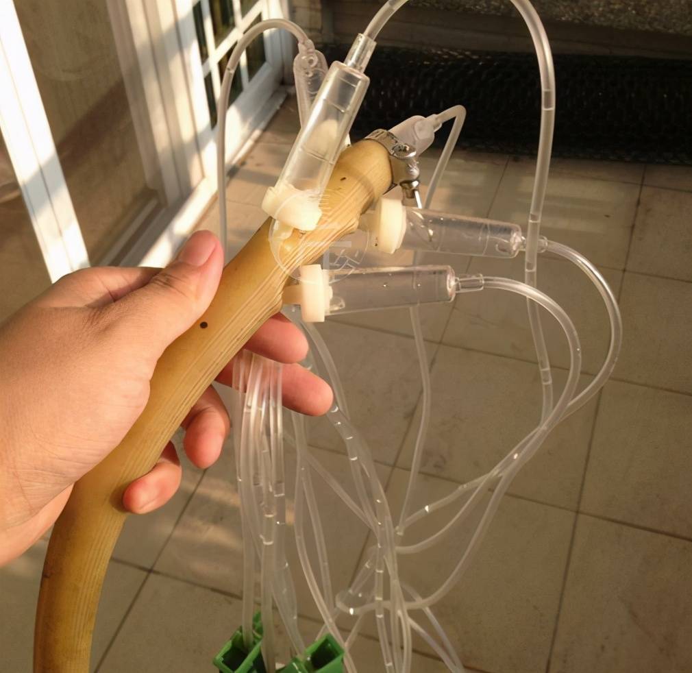 自己怎么做小鸟喂水器 610069215dfe46598b8cb5a164c6e0c2.jpeg