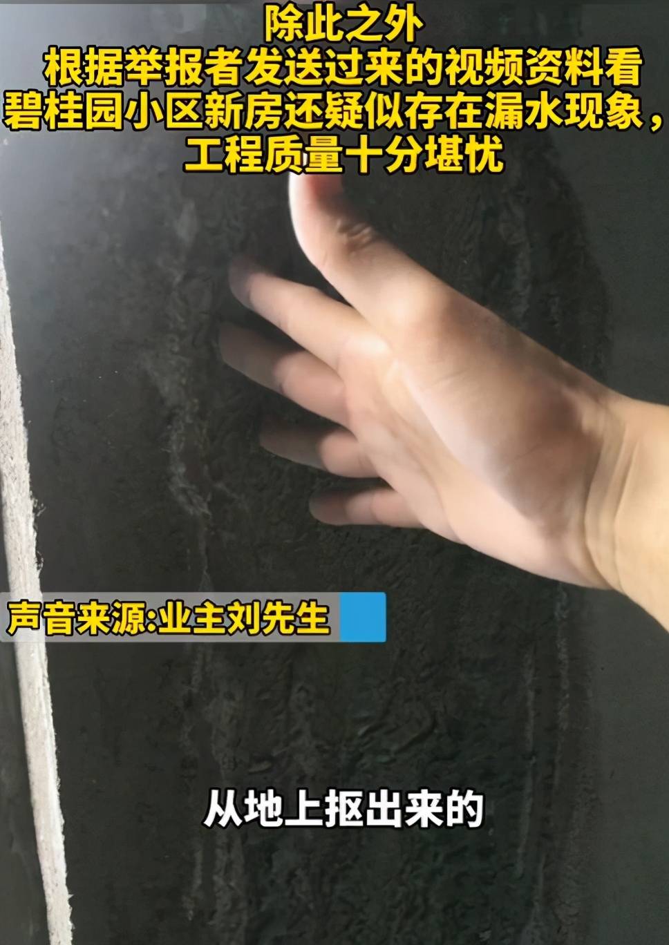 碧桂园出事了 业主：花费一生积蓄入了一个五星级的坑(图4)