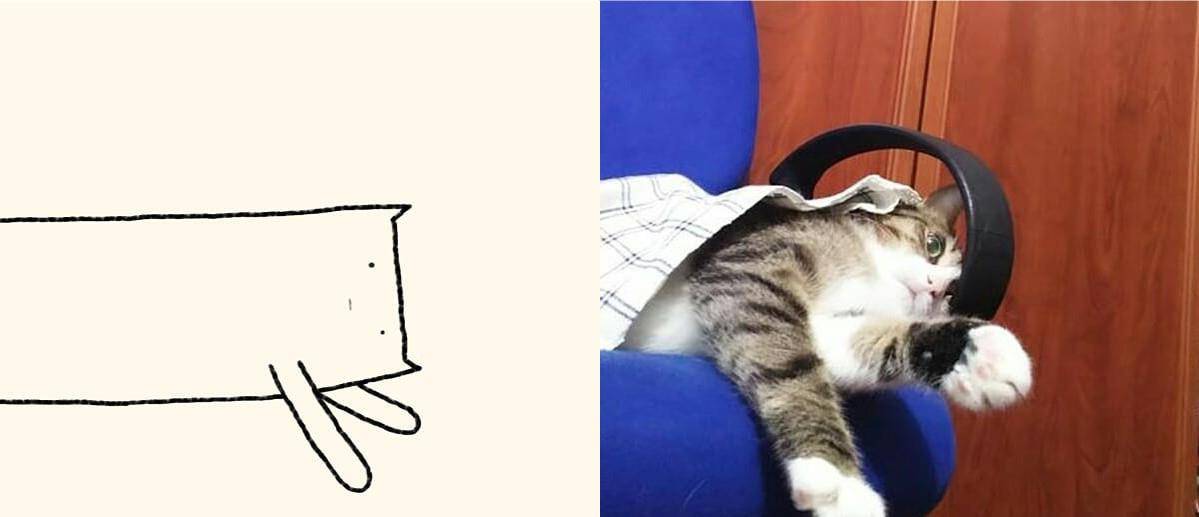 猫条多少钱一根合适 4c036c982faa4fbd9f00f2cfad4bacb8.jpeg