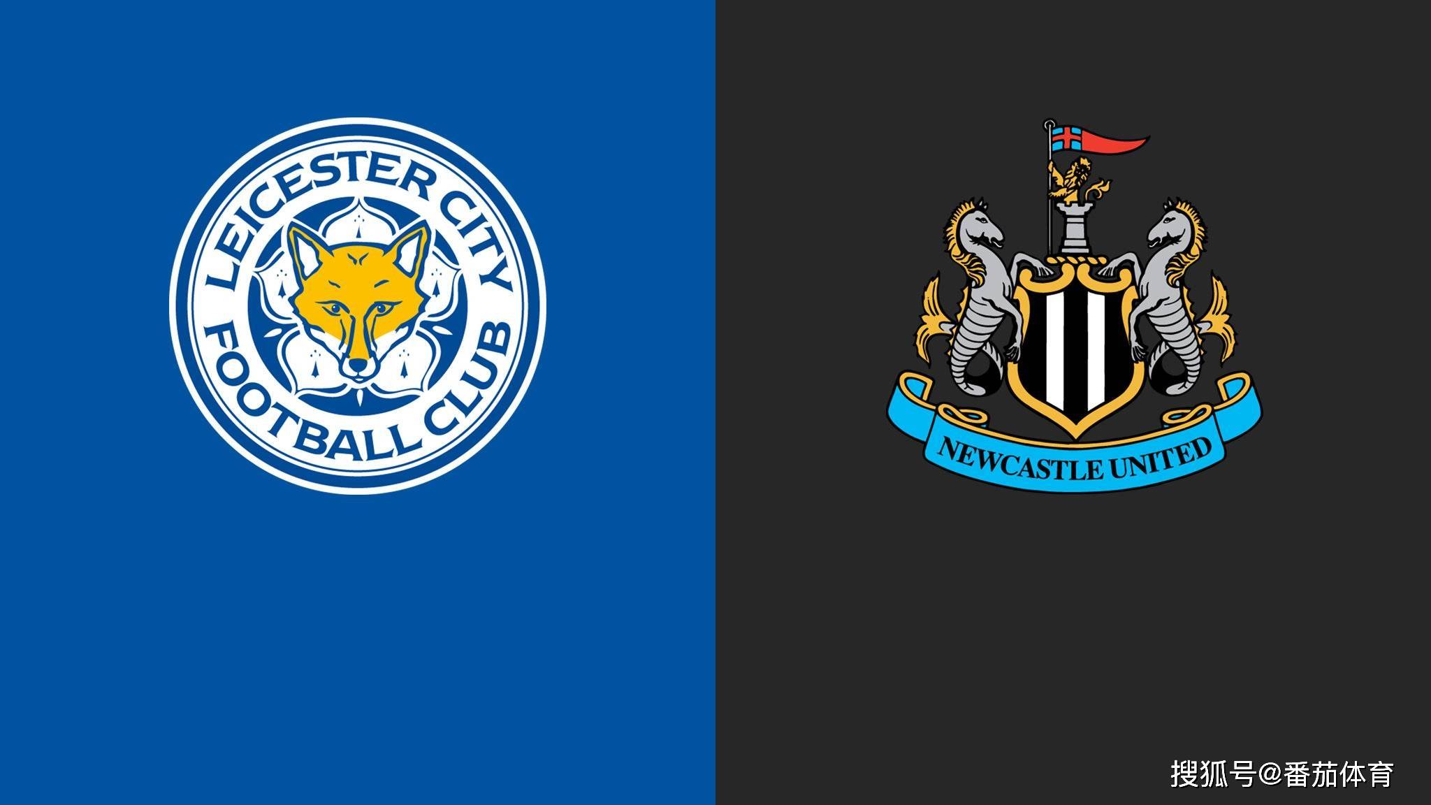 英超]足球分析:莱切斯特城vs纽卡斯尔联，狐狸城如虎添翼_搜狐网
