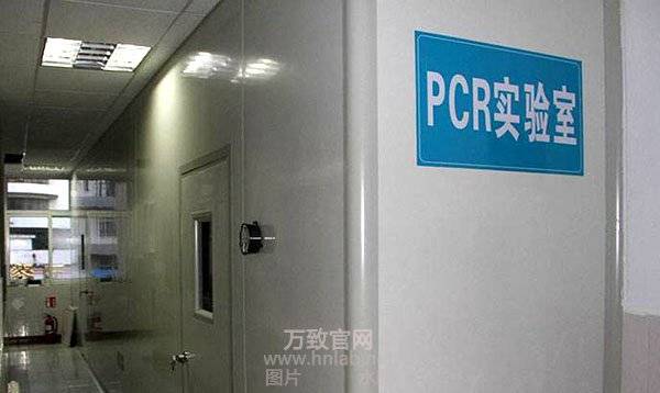 pcr实验室设计有哪些要求?