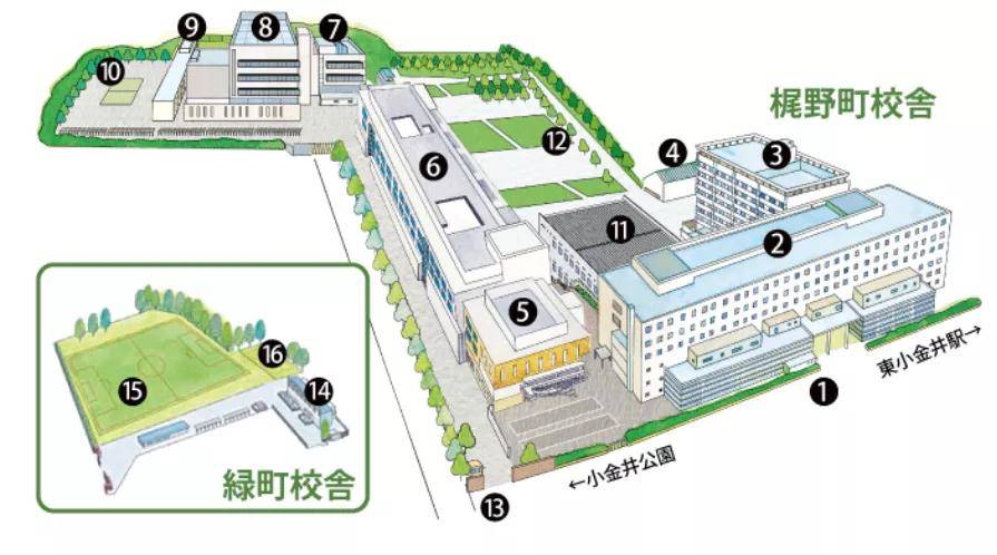 日本法政大学怎么样 走进日本名校法政大学 中学部