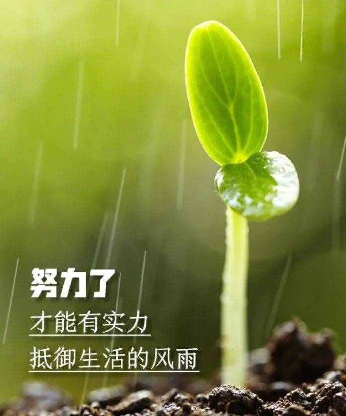 逆境中激励自己的句子句句走心温暖心窝