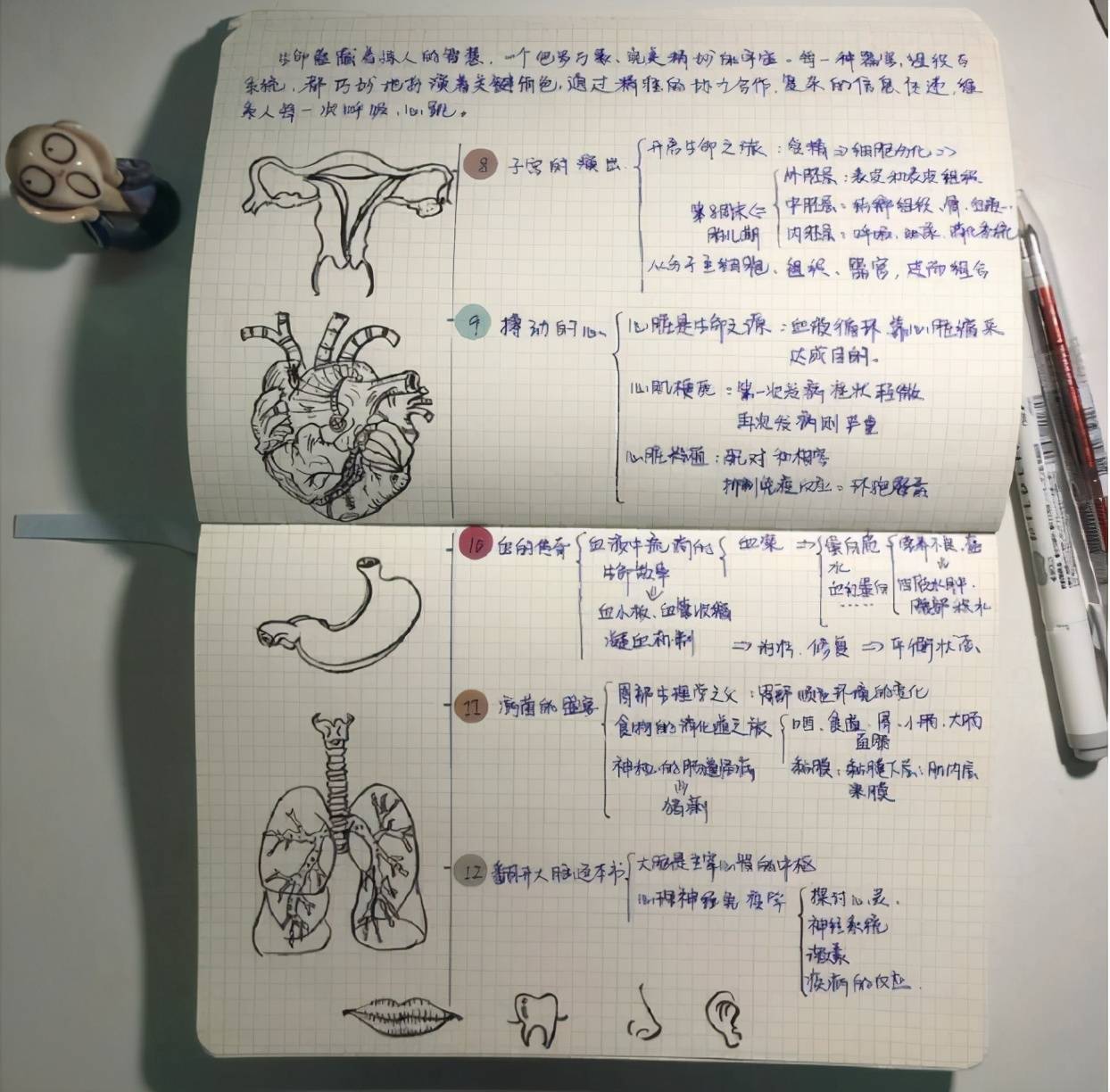 医学生"课堂笔记"火了,网友:明明可以靠才华,却要熬到掉头发