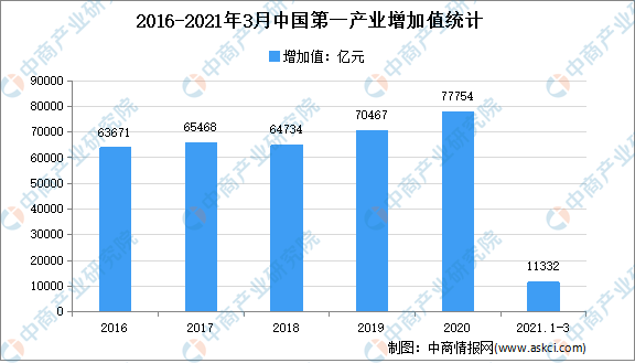 中国有几亿人口2021_2021中国人口大迁移报告 从城市化到大都市圈化(3)