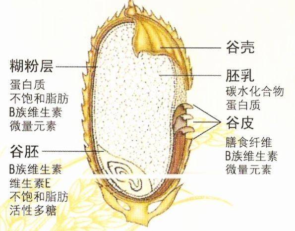 母亲节买中粮福临门自然香大米9黄金碾磨把关心送到妈妈心坎里