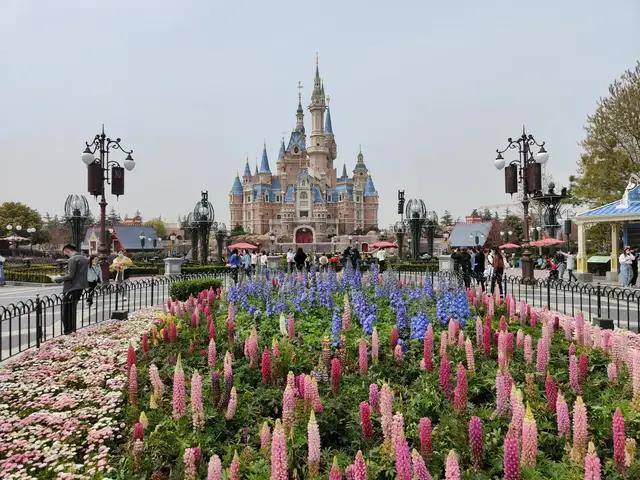手机|真话评测OPPO FIND X3：差点让iPhone成了“备胎”