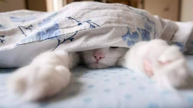 怎么晒太阳不会晒伤 9687793b9080425c941dc3199f11dc49.jpeg