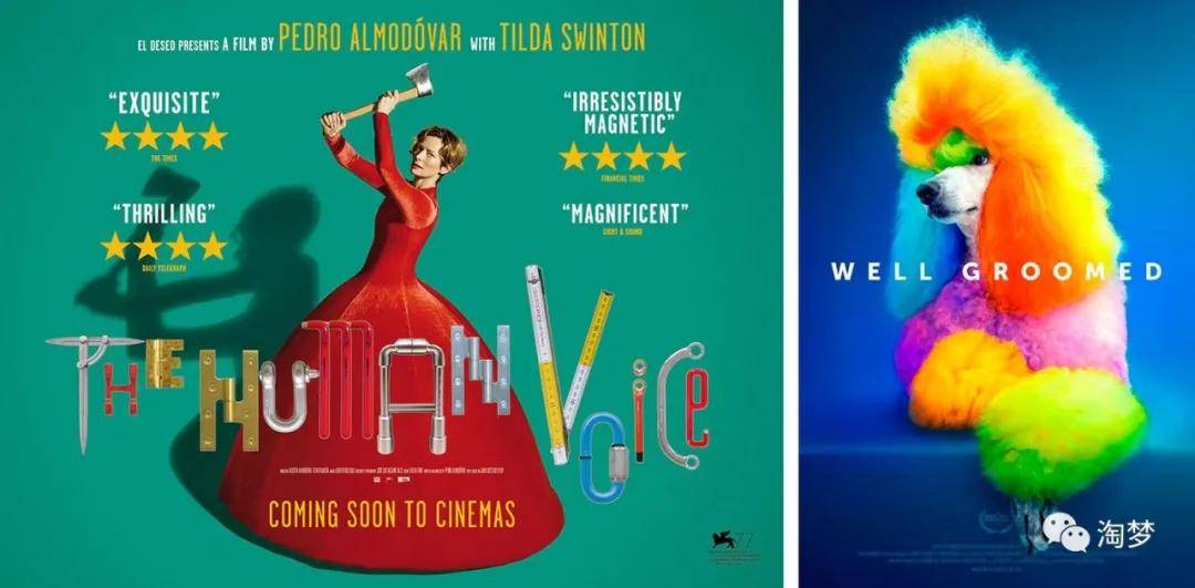 艺术鉴赏导演专业是做什么呢从了解年度十佳电影海报开始