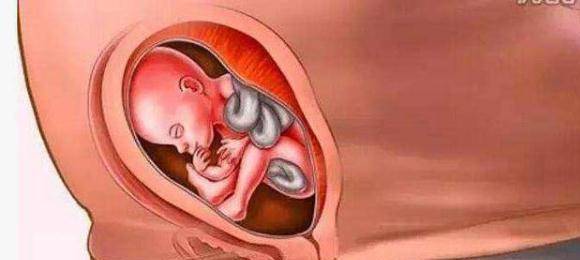 女人怎么怀孕的过程 403983b26c074984a4f60b89bacfd119.jpeg