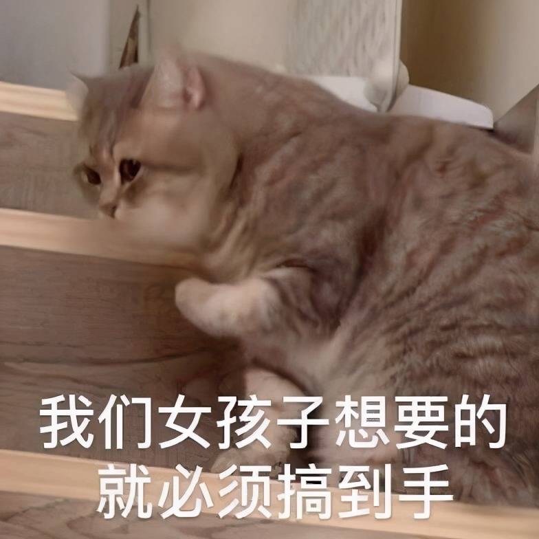 b8814bb3d4d942969e2aa67f1294815a.jpeg