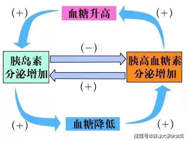 瘦子|日本人饮食高碳水，却是肥胖率最低的国家，吃成瘦子的方法真的有