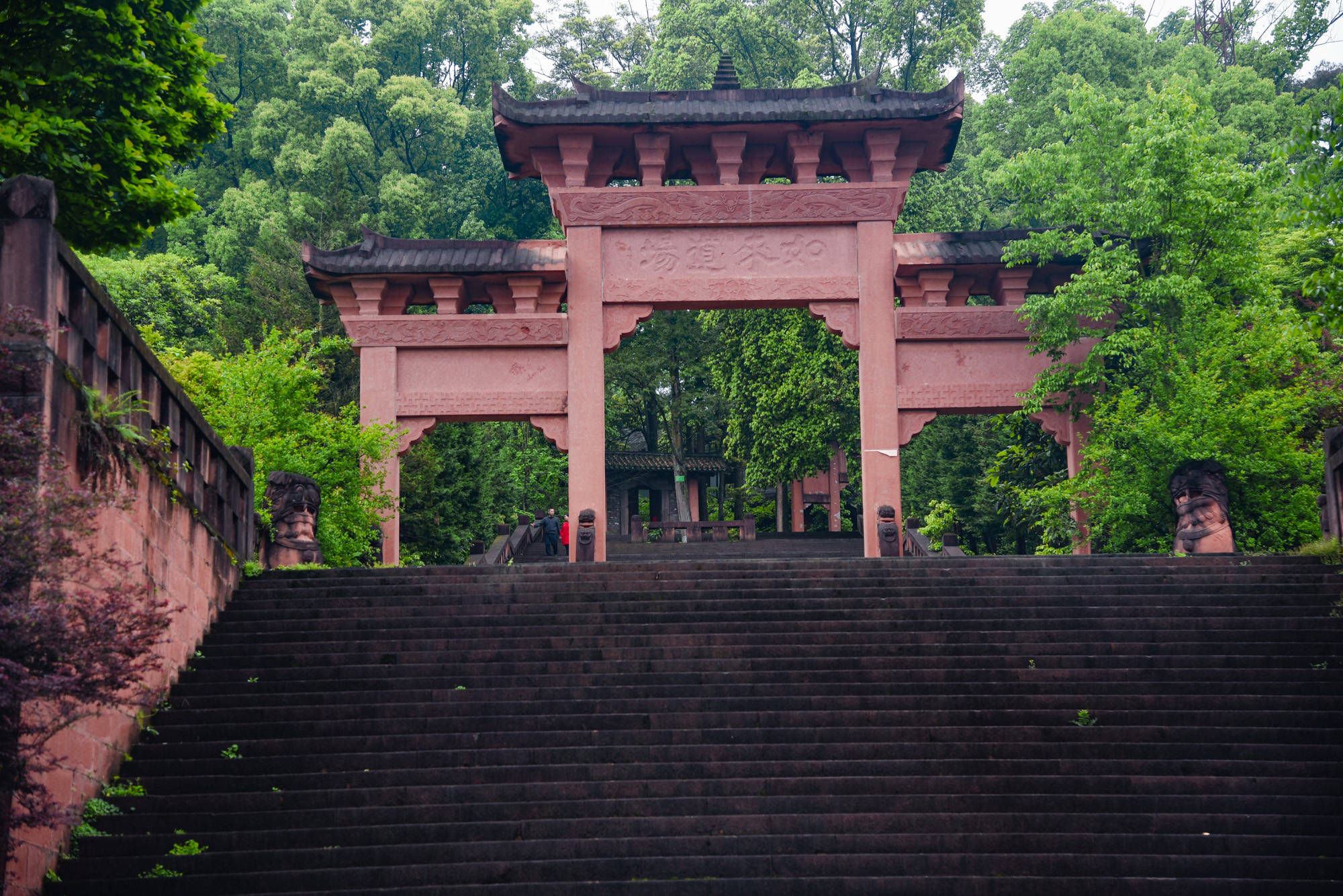 法王寺德祥法师简历图片