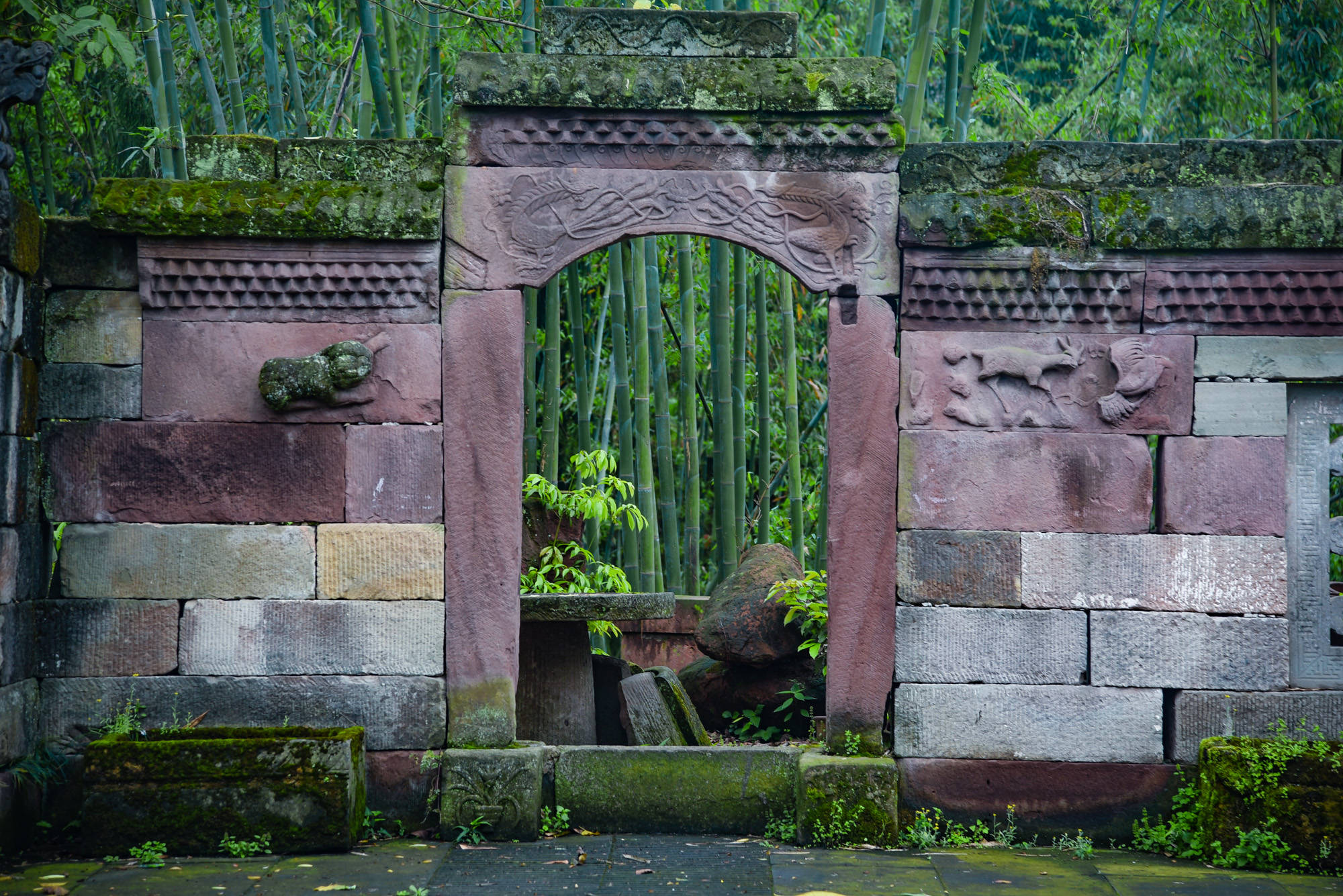 法王寺德祥法师简历图片