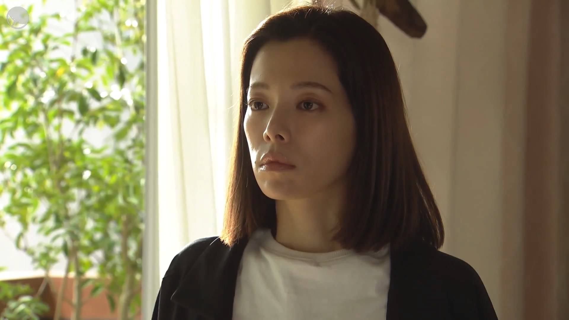 以图观剧 樱井由纪主演 离婚活动 衍生剧 离婚high 老公