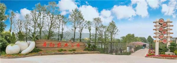 五一小长假来重庆市北碚区龙车村,享农家乐钓鱼之趣味_草莓